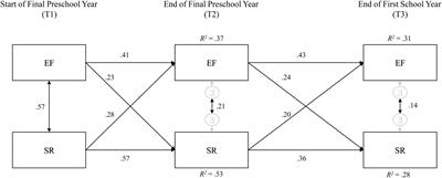 Executive Function and Self-Regulation: Bi-Directional Longitudinal Associations and Prediction of Early Academic Skills